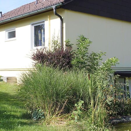 Haus Wiesengrund - Hundefreundlich 加默廷根 外观 照片
